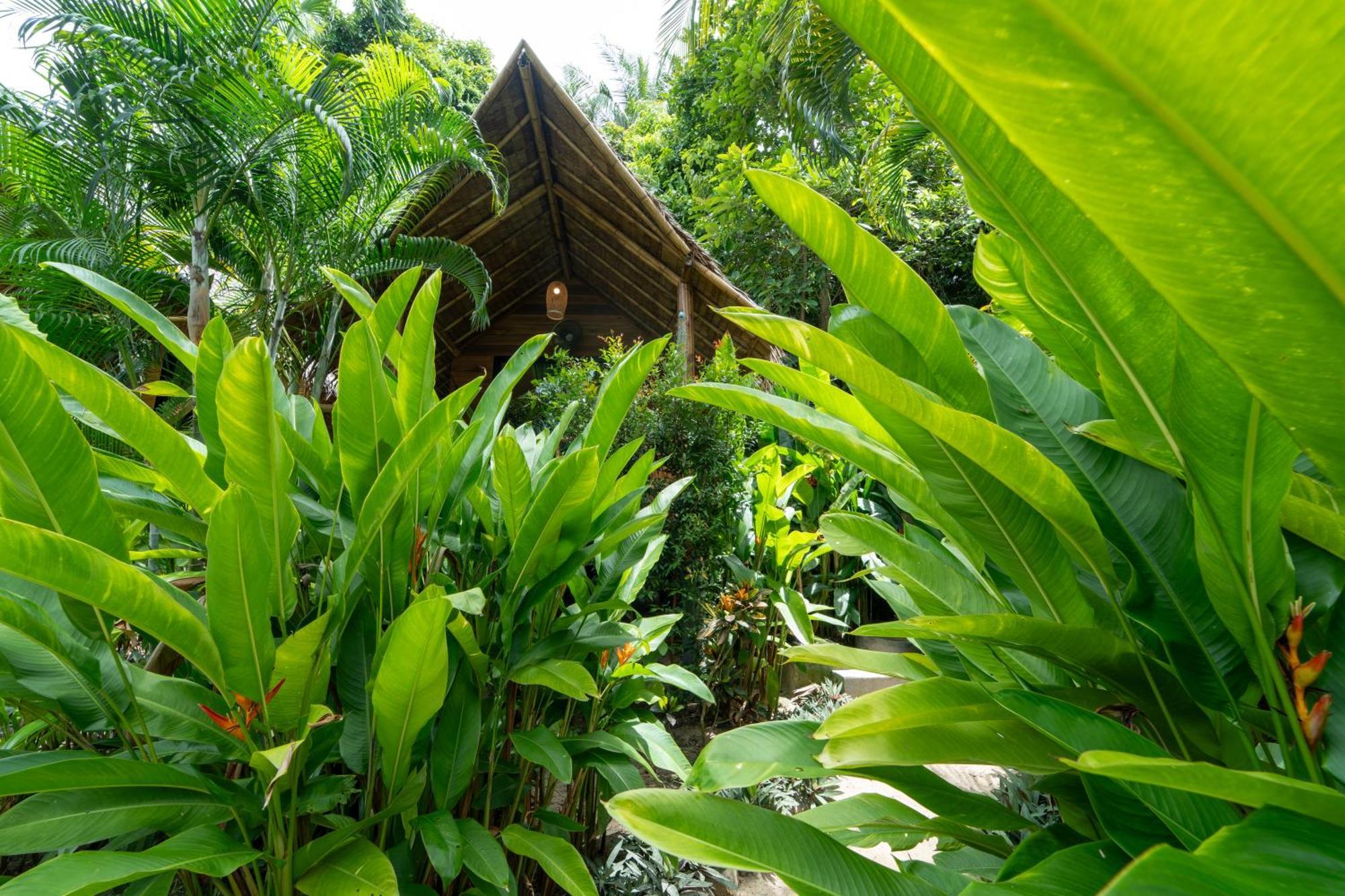 Bamboo Bay Eco Resort スリタヌ エクステリア 写真